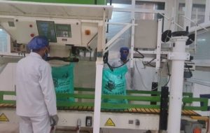 نیشکر فارابی موفق به دریافت مجوز دانش‌بنیان شد