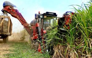 سودآوری نیشکر حاصل تلفیق تولید و تجارت است/ عملکرد صنعت نیشکر رو به رشد است/مانند سال گذشته، سودآوری مناسبی پیش‌بینی می‌شود